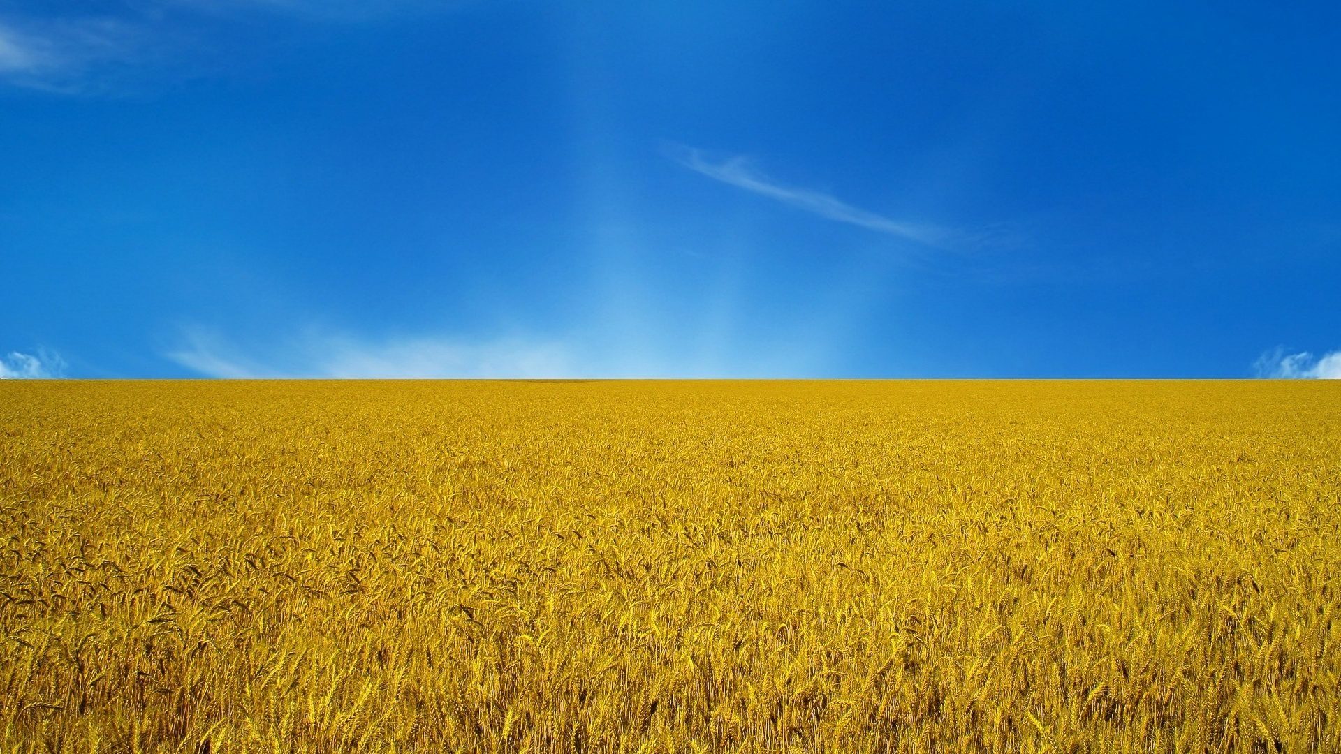 Ruthenians.net background image