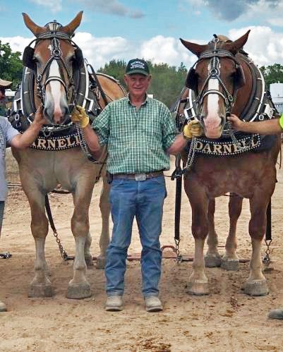 Don Darnell Obituary
