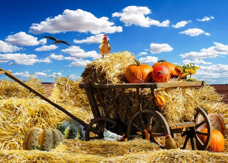 turkey day hay wagon
