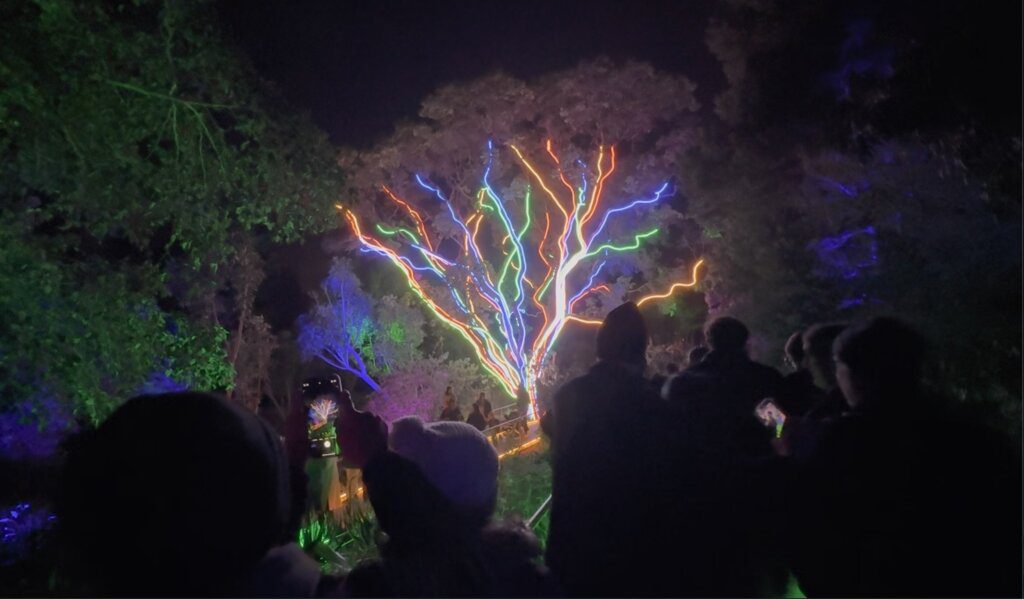 Lightscape San Francisco 2025