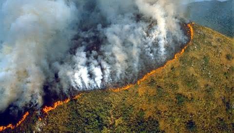 burning_rain_forest